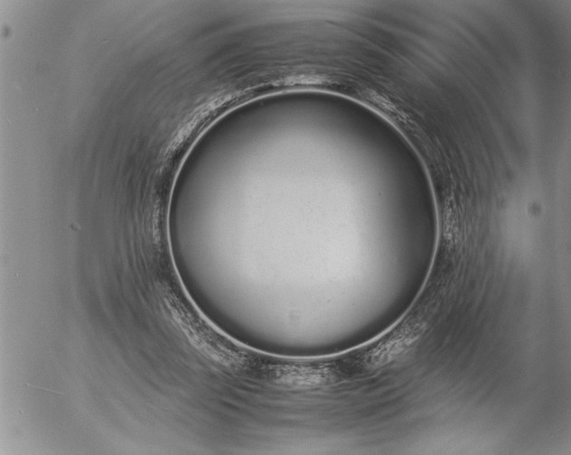 X0000057060347200509091202