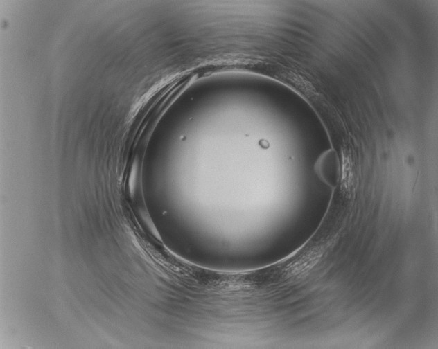 X0000057060348200509091203