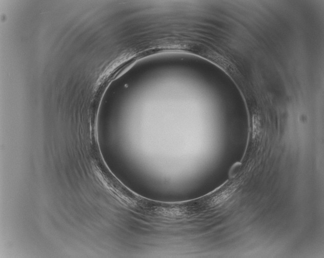 X0000057060349200509091203