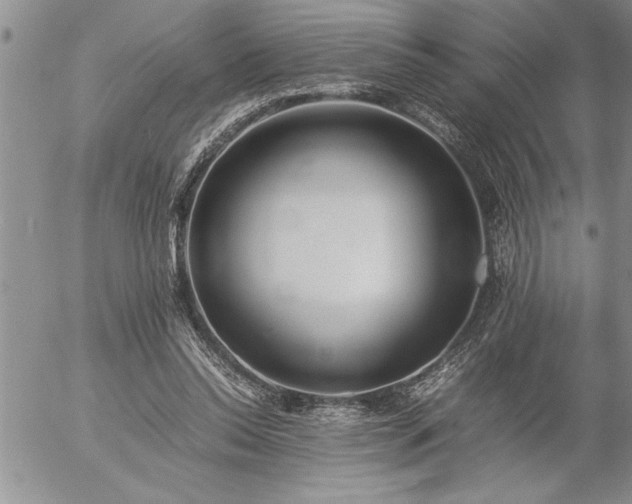 X0000057060350200509091203