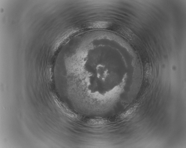 X0000057060351200509091203