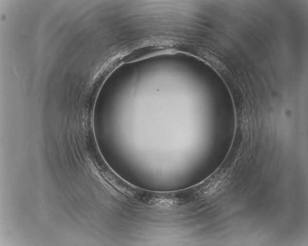 X0000057060352200509091203