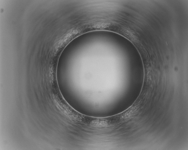 X0000057060354200509091203