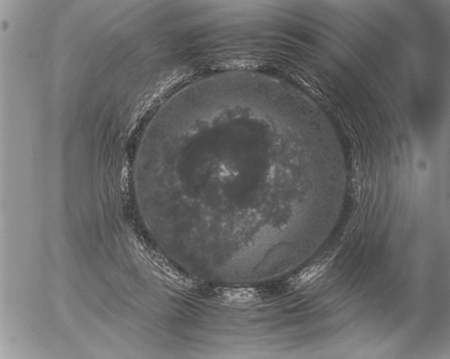 X0000057060355200509091203