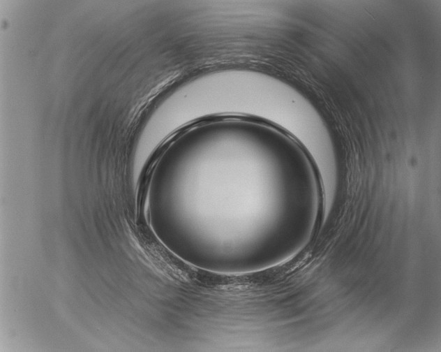 X0000057060356200509091203