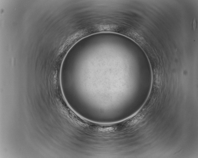 X0000057060357200509091203