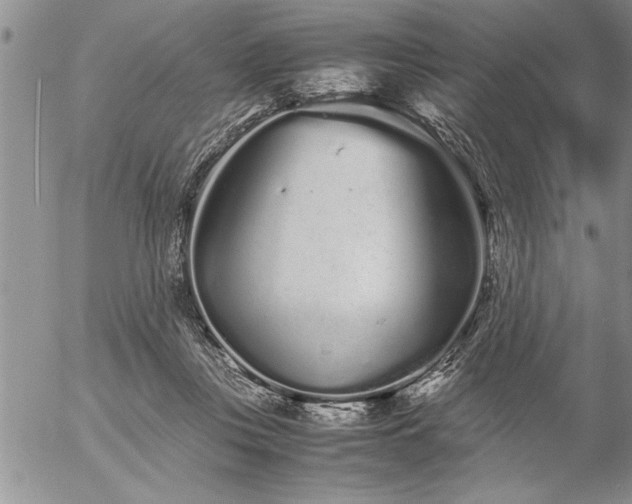 X0000057060359200509091203