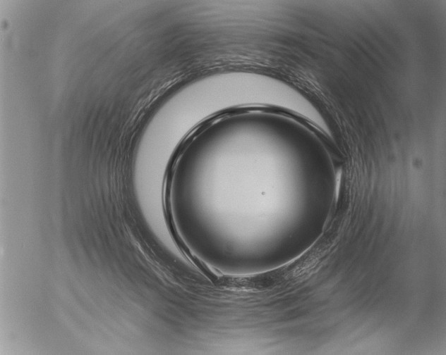 X0000057060360200509091203