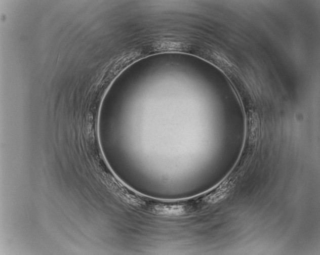 X0000057060361200509091203