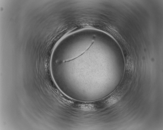 X0000057060363200509091203