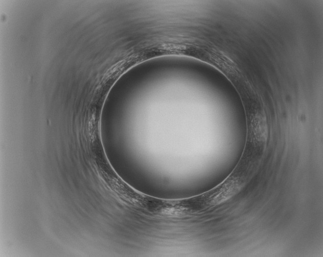 X0000057060364200509091203