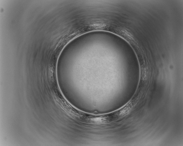 X0000057060365200509091203