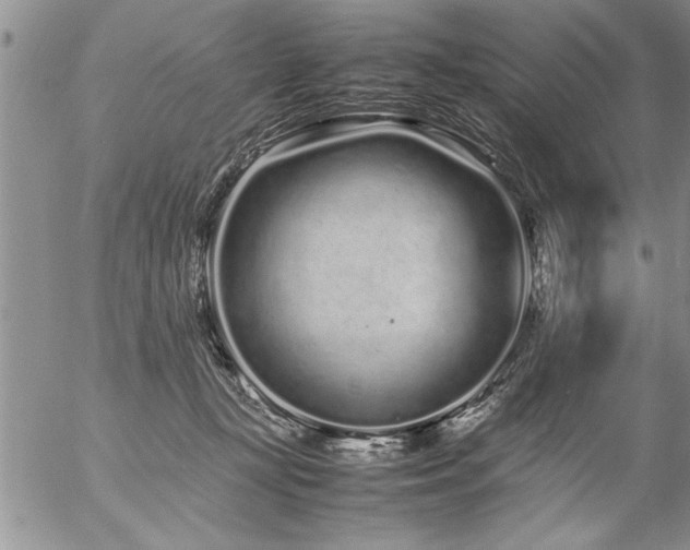 X0000057060367200509091203