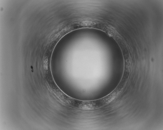 X0000057060368200509091203