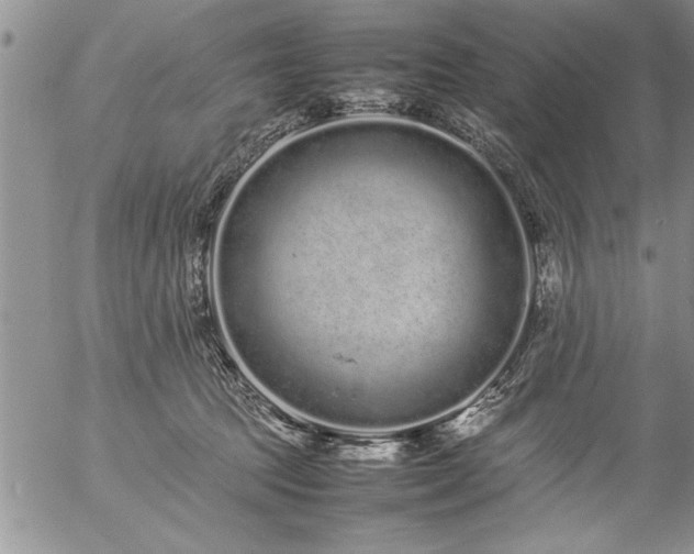 X0000057060369200509091203