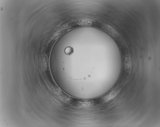 X0000057060370200509091203