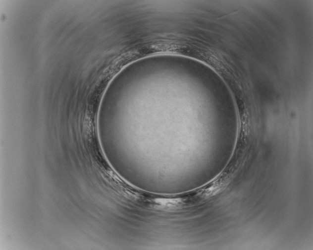 X0000057060371200509091203