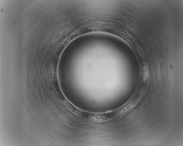 X0000057060372200509091203