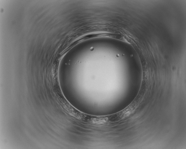 X0000057060373200509091203