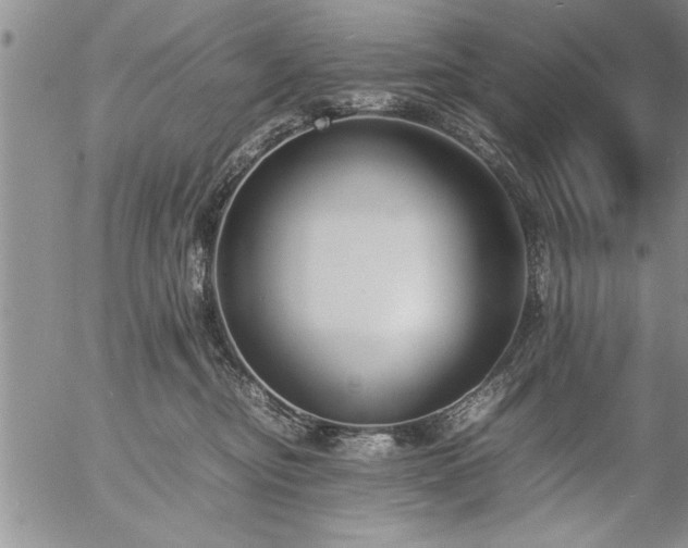 X0000057060374200509091203