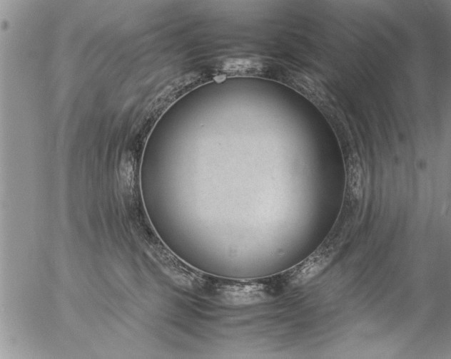 X0000057060375200509091203