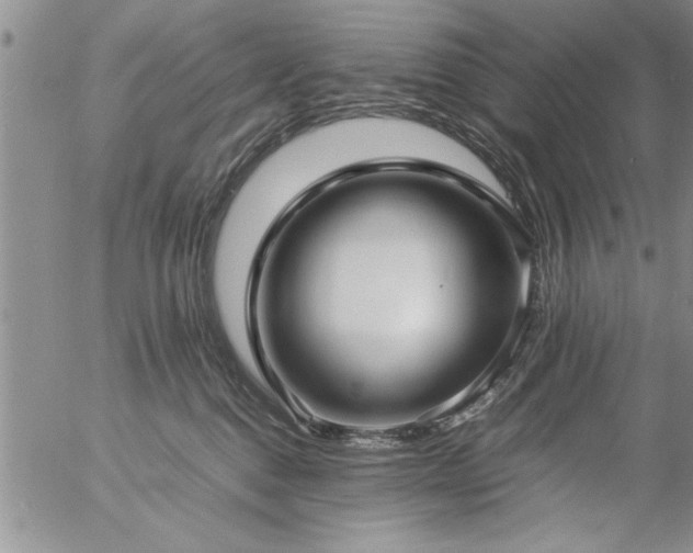 X0000057060376200509091203