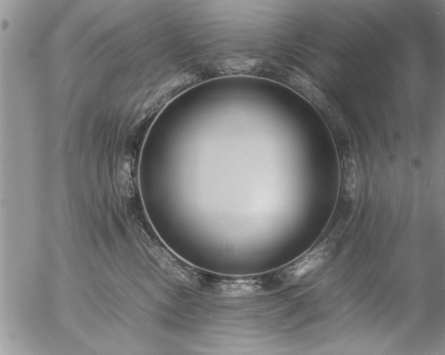 X0000057060378200509091203