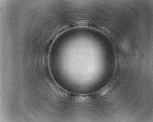 X0000057060379200509091203