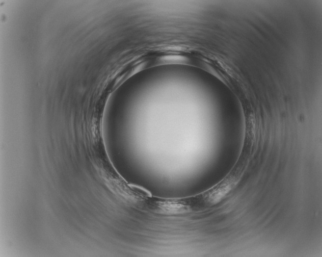 X0000057060380200509091203