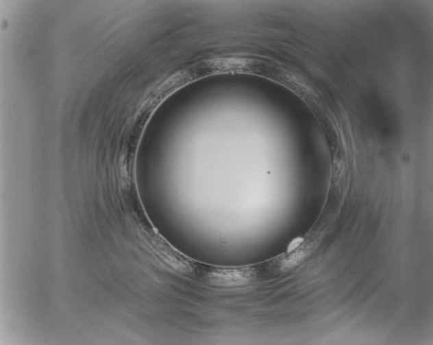 X0000057060381200509091203