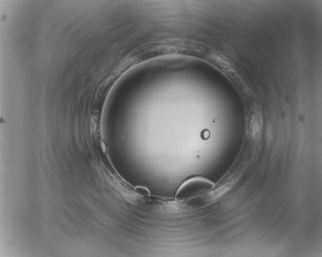 X0000057060382200509091203