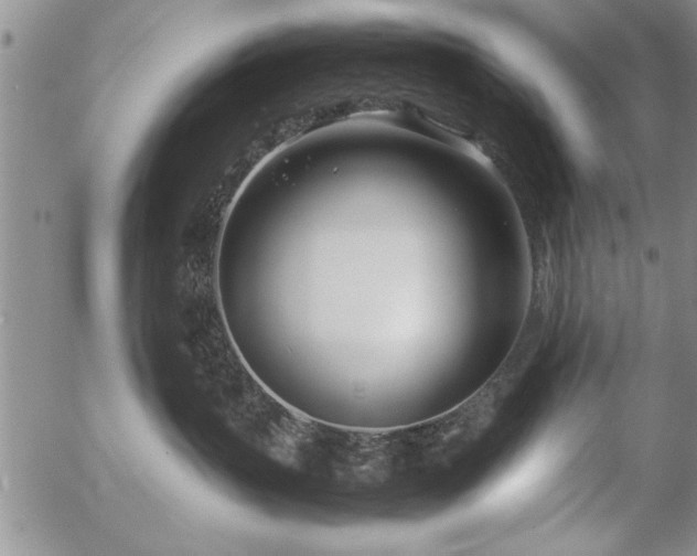 X0000057060383200509091203