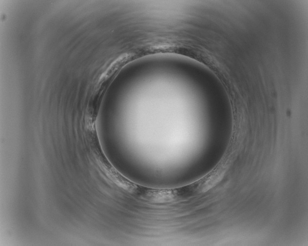 X0000057060384200509091203