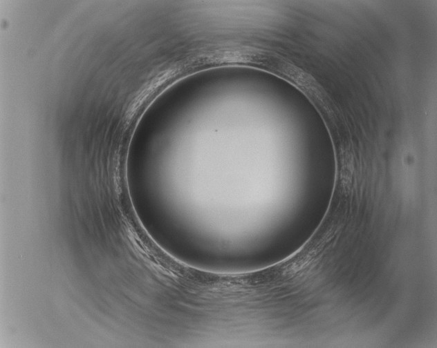 X0000057060386200509091202