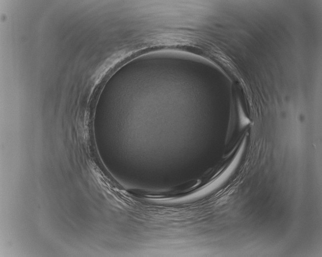 X0000057060387200509091202