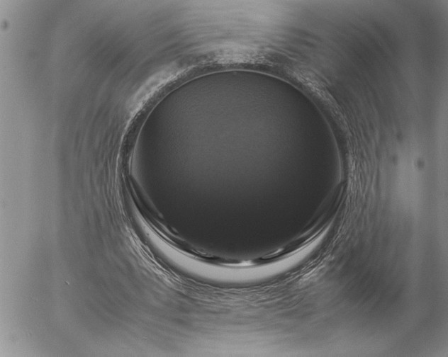 X0000057060391200509091202