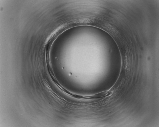 X0000057060392200509091202