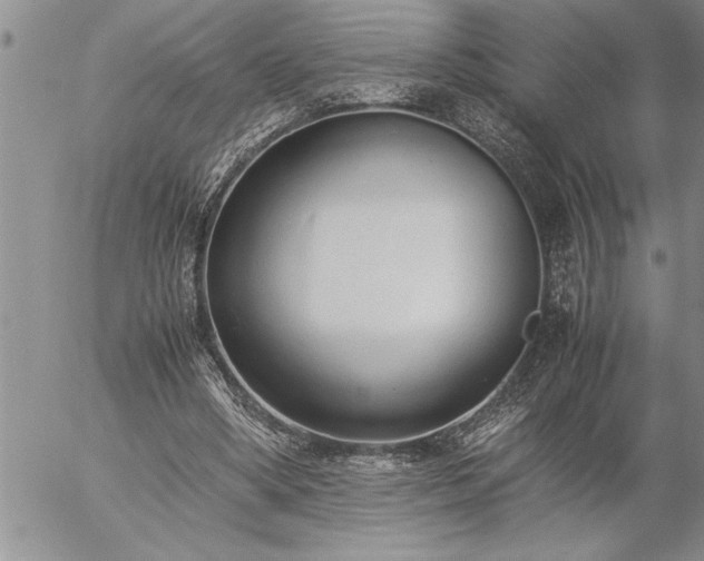 X0000057060394200509091202