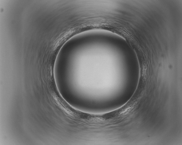 X0000057060397200509091202