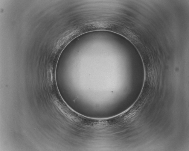 X0000057060398200509091202