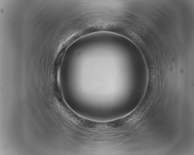 X0000057060399200509091202