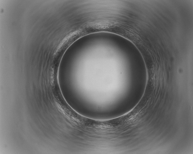 X0000057060400200509091202