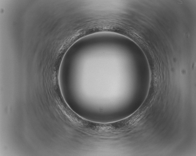 X0000057060401200509091202