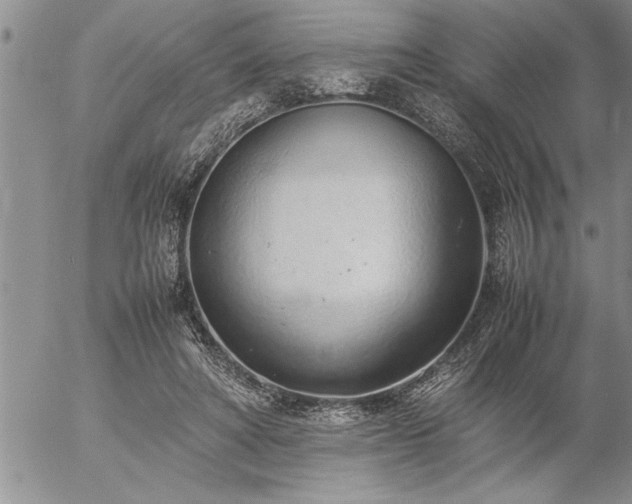 X0000057060402200509091202