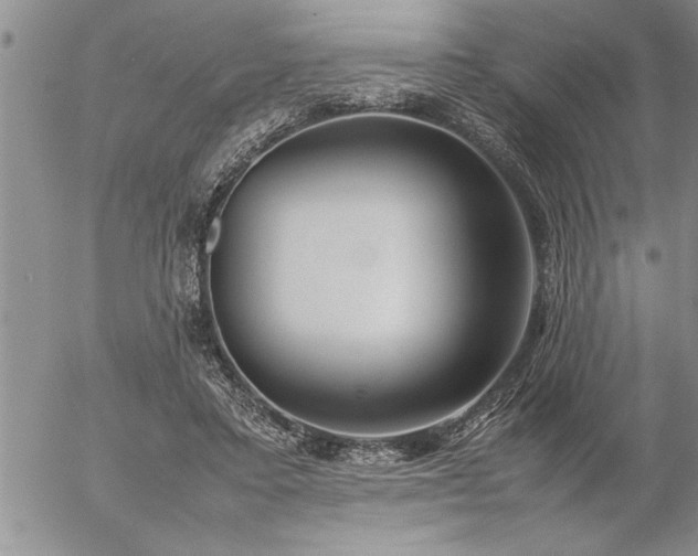 X0000057060403200509091202