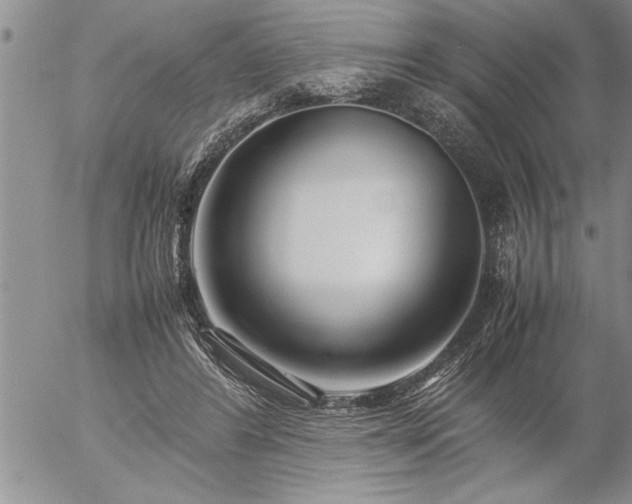 X0000057060404200509091202