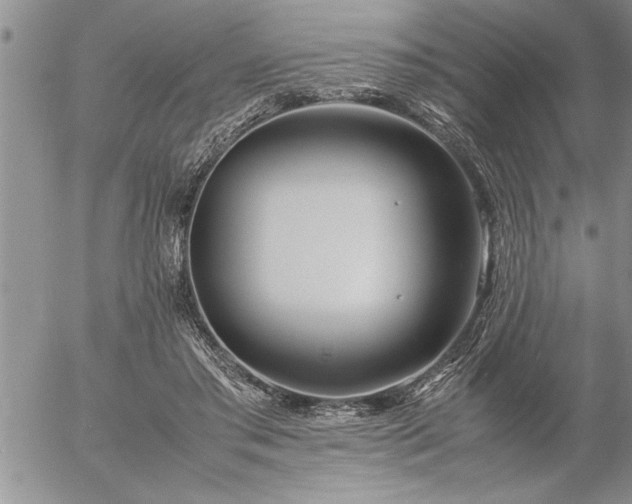 X0000057060405200509091202