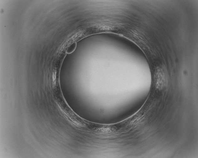 X0000057060406200509091202