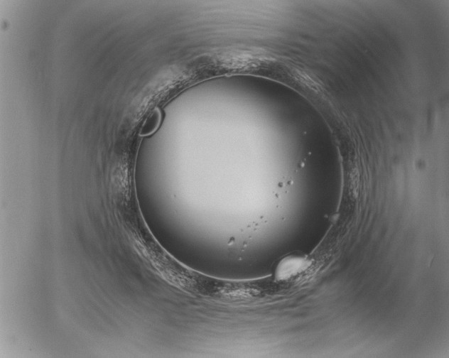 X0000057060407200509091202