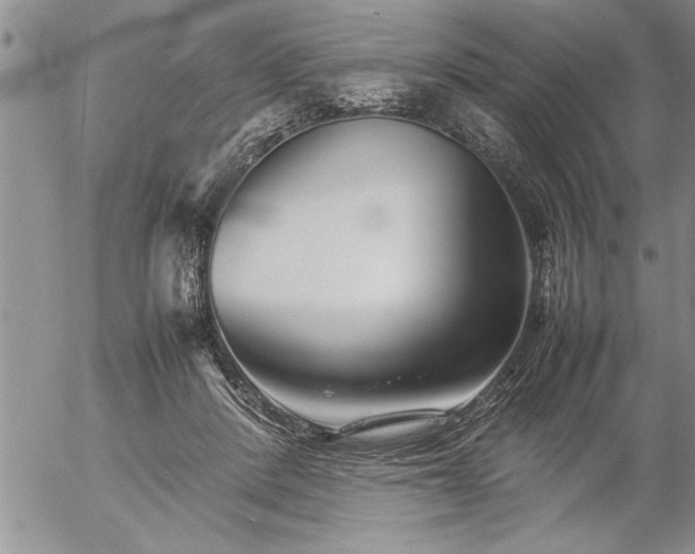 X0000057060408200509091202